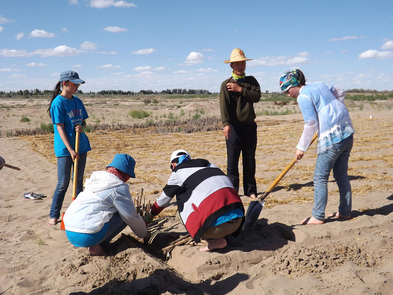 �@�N1.5��Ҋ�������ݸ�������ɳЧ����������^4��5���͕��L(f��ng)�g��������Ҫ�����a(b��)����