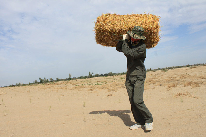 �F(tu��n)�T���i�������ݣ����ϳ����������������؟(z��)����