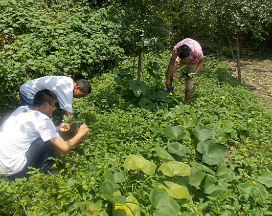 �ڶ�����꠆T���_ʼ�������B(t��i)�r(n��ng)���w��r(n��ng)��������������ժ����