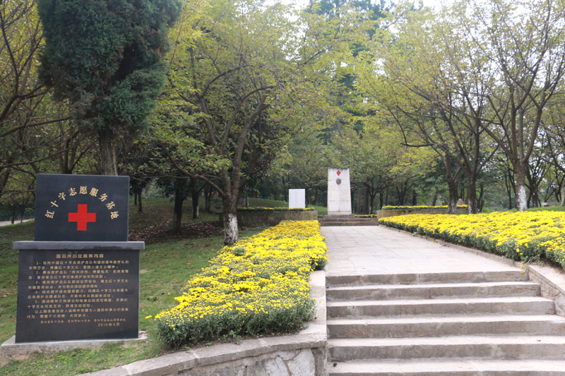 �Ї��tʮ�֕����o��ꠈD���P