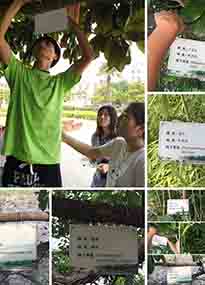 �K���r(n��ng)�W(xu��)Ժ�O(sh��)Ӌ(j��)У�@ֲ����Ƭ�������K�r(n��ng)�Gɫ���}