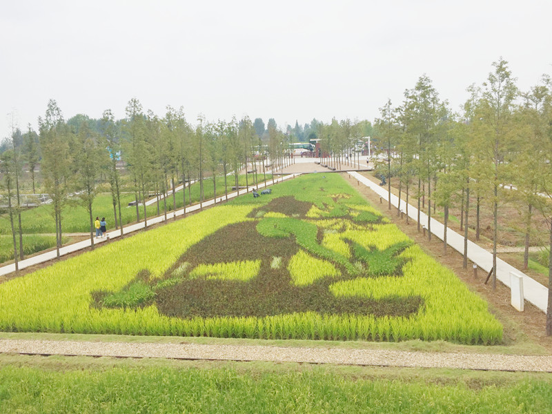 ������L�������������zӰ����־�ۣ�