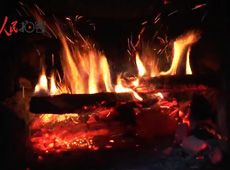 �t��t����~����������ʳ���ρ�