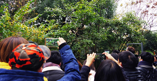 �@�����ӵ������ɶ����W(w��ng)�j���ˁ��cٝ